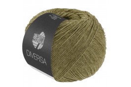 Diversa nr 33 berkengroen